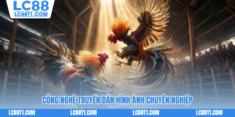 Công nghệ truyền dẫn hình ảnh chuyên nghiệp