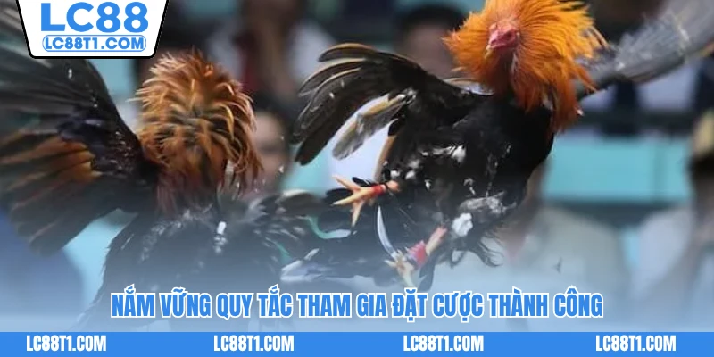 Nắm vững quy tắc tham gia đặt cược thành công